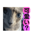 ルルちゃんpart2（個別スタンプ：12）