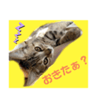 ルルちゃんpart2（個別スタンプ：13）