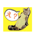 ルルちゃんpart2（個別スタンプ：15）