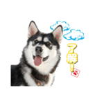 心珠 Day's（個別スタンプ：1）