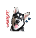 心珠 Day's（個別スタンプ：2）