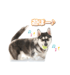 心珠 Day's（個別スタンプ：5）
