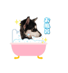 心珠 Day's（個別スタンプ：14）