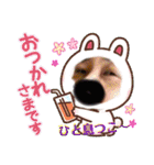 NIRITAKE（個別スタンプ：8）