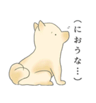 てのひらサイズのとらさん（個別スタンプ：37）