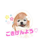 白ポメ レオくん2♡（個別スタンプ：4）