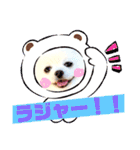 白ポメ レオくん2♡（個別スタンプ：8）