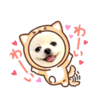 白ポメ レオくん2♡（個別スタンプ：14）
