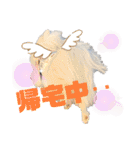 白ポメ レオくん2♡（個別スタンプ：33）