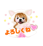 白ポメ レオくん2♡（個別スタンプ：37）
