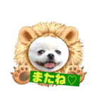 白ポメ レオくん2♡（個別スタンプ：39）