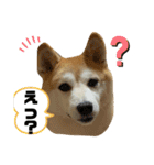 チョコでっす（個別スタンプ：9）