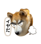 チョコでっす（個別スタンプ：10）