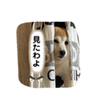 チョコでっす（個別スタンプ：22）