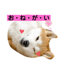 チョコでっす（個別スタンプ：26）