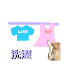 ラブラドール♡ララ♡⑤（個別スタンプ：5）