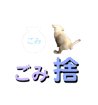 ラブラドール♡ララ♡⑤（個別スタンプ：6）