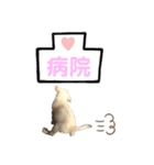 ラブラドール♡ララ♡⑤（個別スタンプ：8）