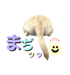 ラブラドール♡ララ♡⑤（個別スタンプ：12）