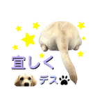 ラブラドール♡ララ♡⑤（個別スタンプ：28）