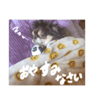 もっぴすたんぷ♡（個別スタンプ：5）