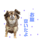 もっぴすたんぷ♡（個別スタンプ：14）