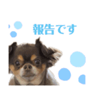 もっぴすたんぷ♡（個別スタンプ：16）