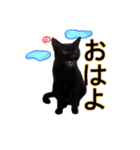 黒猫ビビちゃんのスタンプ（個別スタンプ：8）