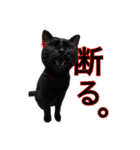 黒猫ビビちゃんのスタンプ（個別スタンプ：13）