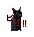 黒猫ビビちゃんのスタンプ（個別スタンプ：16）