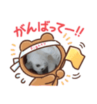 春三姉妹10（個別スタンプ：17）