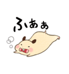 キンクマハムスターおもち（個別スタンプ：31）