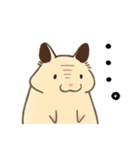 キンクマハムスターおもち（個別スタンプ：33）