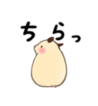 キンクマハムスターおもち（個別スタンプ：34）