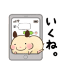 キンクマハムスターおもち（個別スタンプ：39）