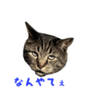 てぃぐるの気持ち#2（個別スタンプ：10）