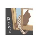 キジトラのいる日常。（個別スタンプ：24）