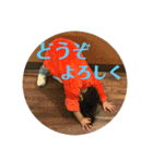 犬猫三昧②（個別スタンプ：5）