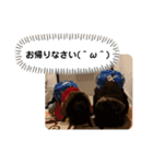 じじの孫スタンプ β（個別スタンプ：9）