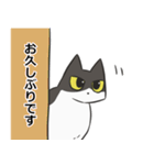 はちわれねこの日常会話（個別スタンプ：14）