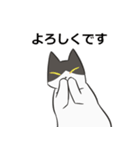 はちわれねこの日常会話（個別スタンプ：20）