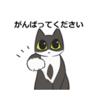 はちわれねこの日常会話（個別スタンプ：21）