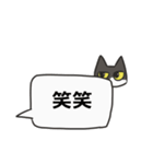 はちわれねこの日常会話（個別スタンプ：37）