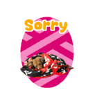 ポチ byY（個別スタンプ：7）