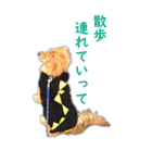 ポチ byY（個別スタンプ：8）