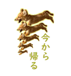 ポチ byY（個別スタンプ：12）