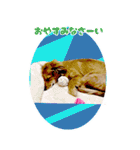 ポチ byY（個別スタンプ：13）