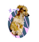 ポチ byY（個別スタンプ：15）