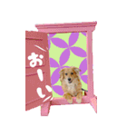 ポチ byY（個別スタンプ：24）