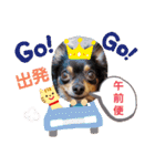 Kojiromaru＆Jubee 4（個別スタンプ：1）